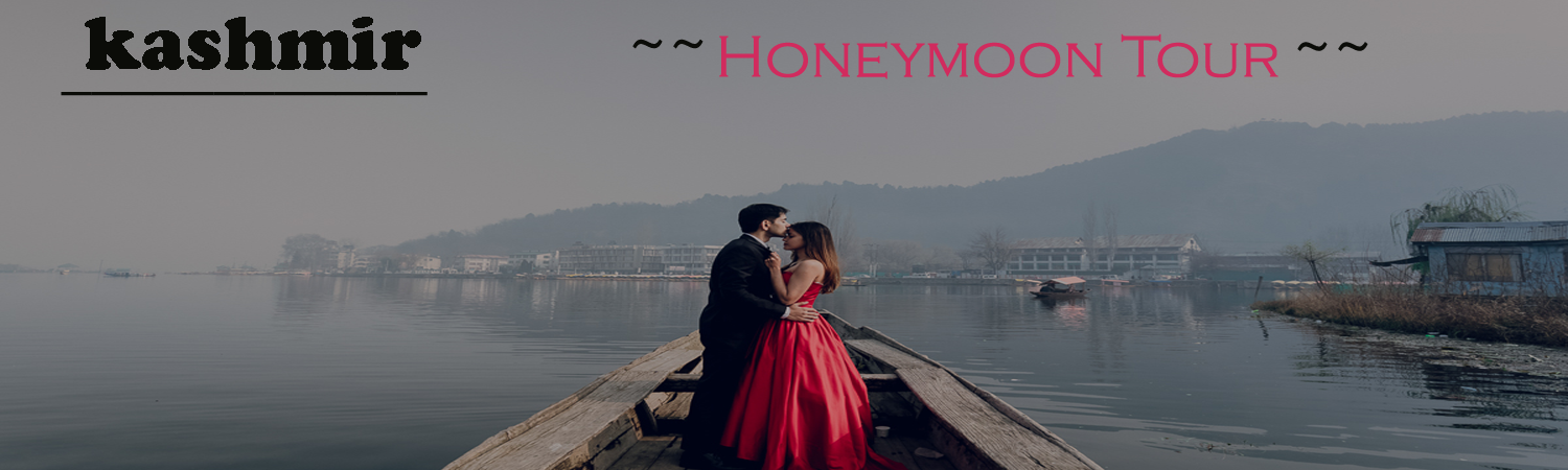 Best Travel Agency in Katra